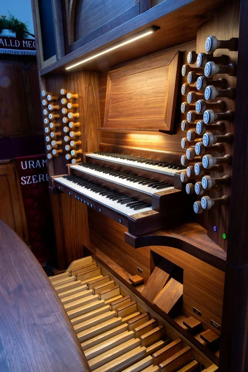 Tarjani Organ
